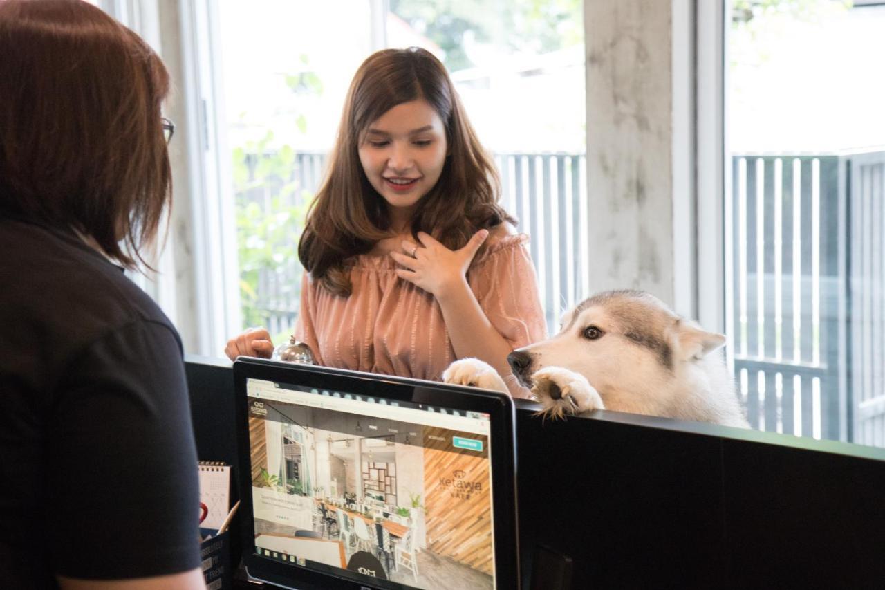 Ketawa Pet Friendly Hotel Chiang Mai Luaran gambar