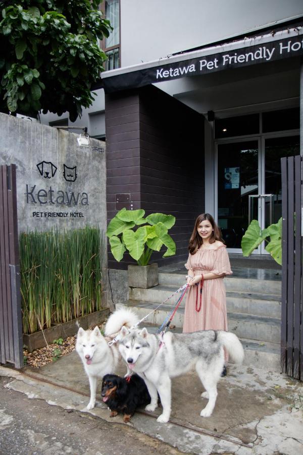 Ketawa Pet Friendly Hotel Chiang Mai Luaran gambar