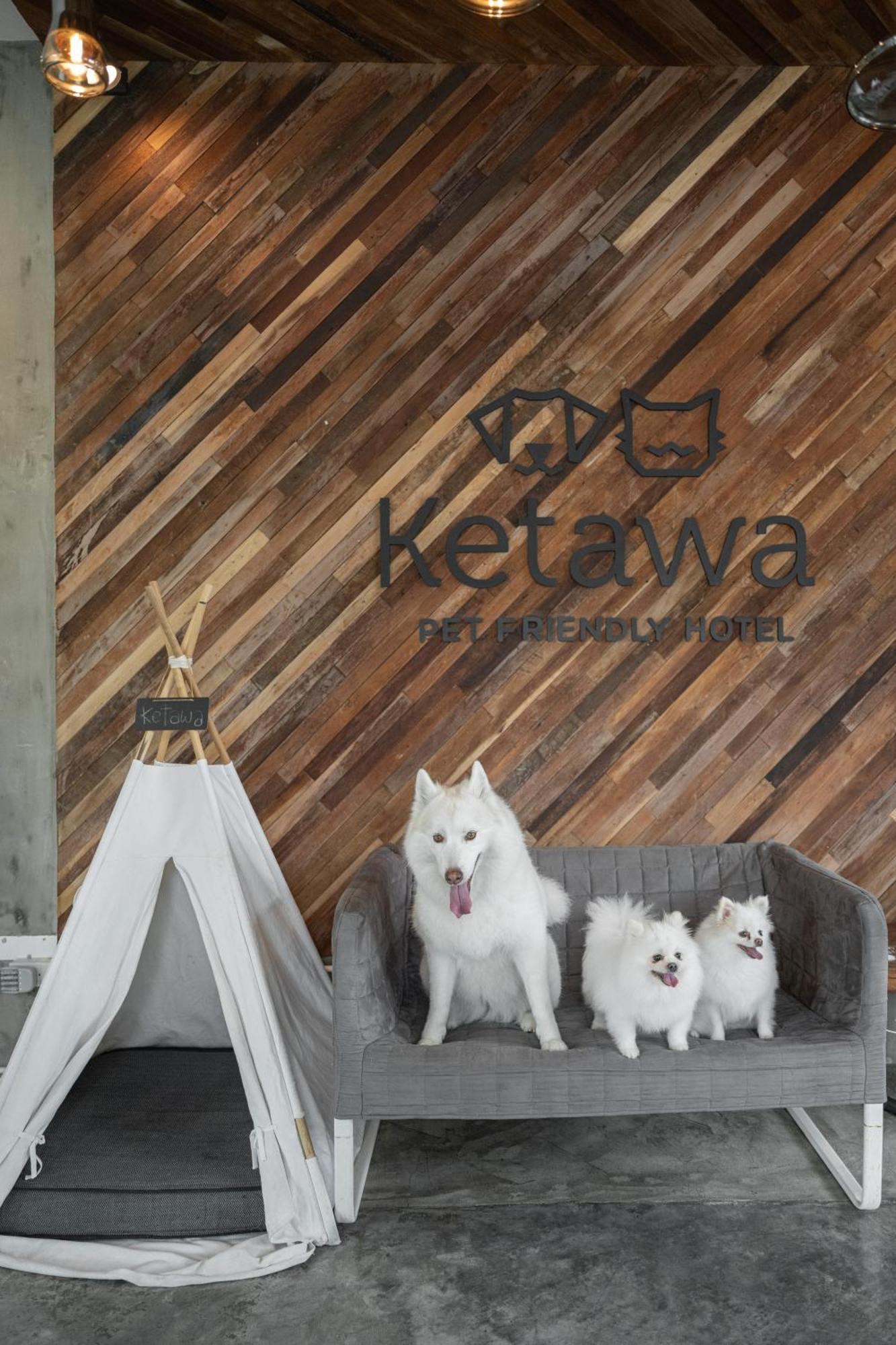 Ketawa Pet Friendly Hotel Chiang Mai Luaran gambar
