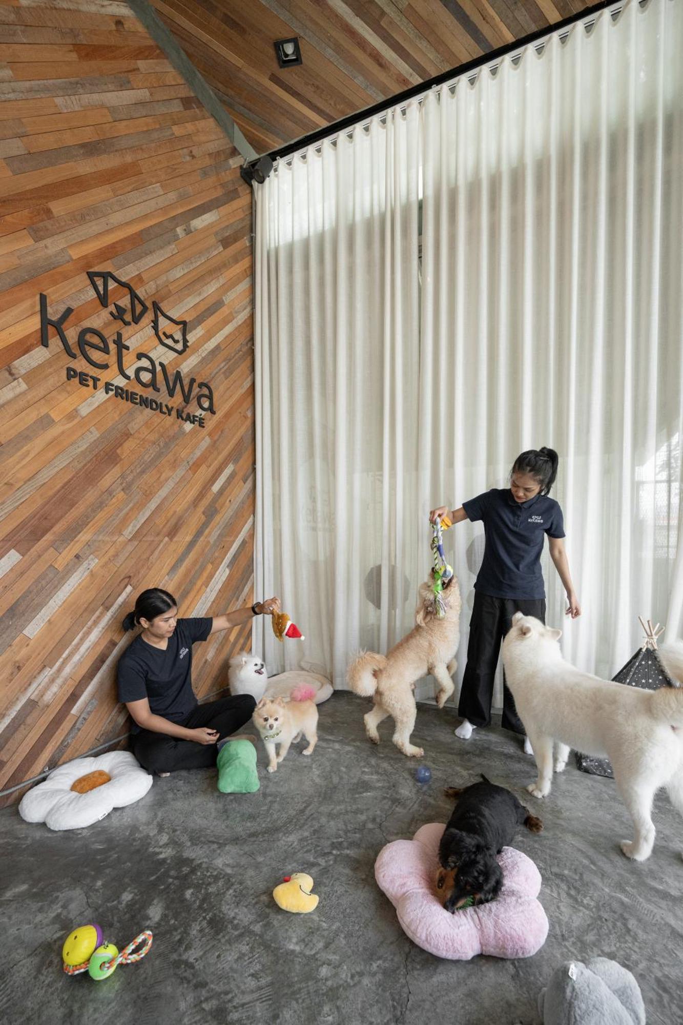 Ketawa Pet Friendly Hotel Chiang Mai Luaran gambar