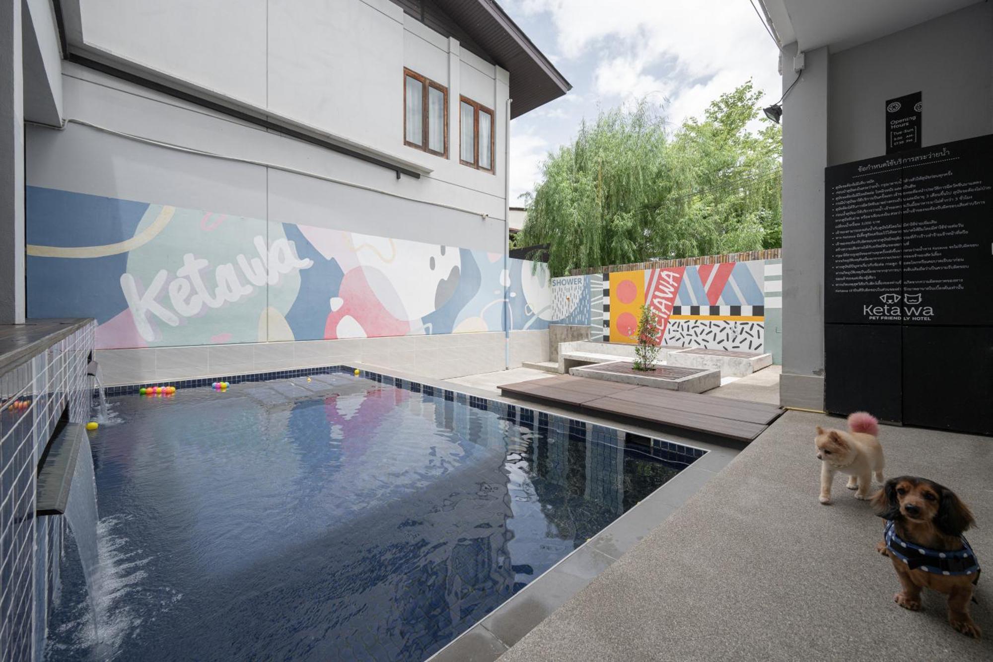 Ketawa Pet Friendly Hotel Chiang Mai Luaran gambar