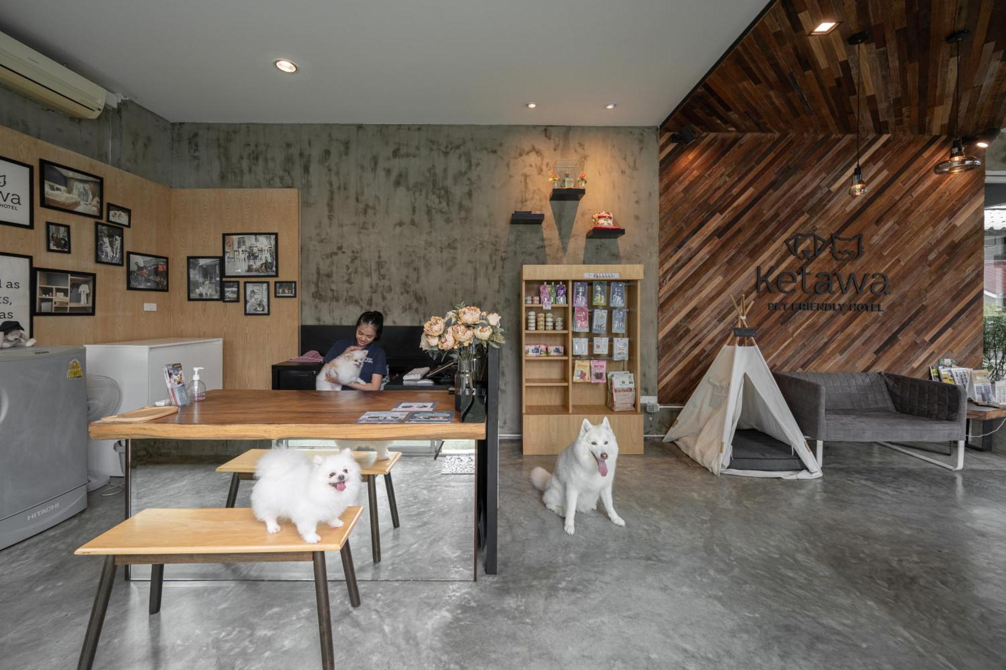 Ketawa Pet Friendly Hotel Chiang Mai Luaran gambar