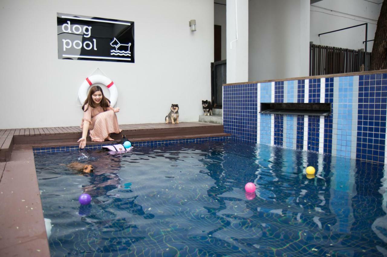 Ketawa Pet Friendly Hotel Chiang Mai Luaran gambar